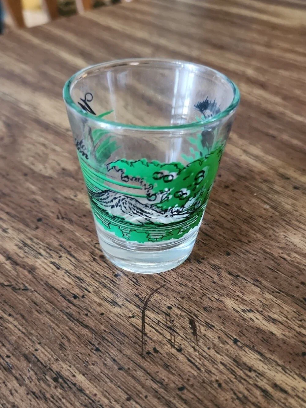 Washington Souvenir Shot Glass with Green Graphic